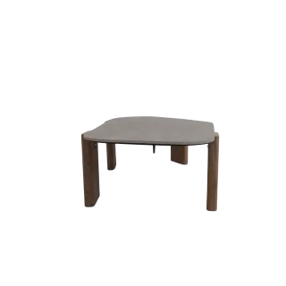 Coffe Table Ex LNC