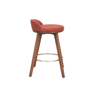 Stool 0101