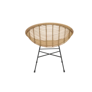 Dining Chair Rattan