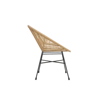 Dining Chair Rattan