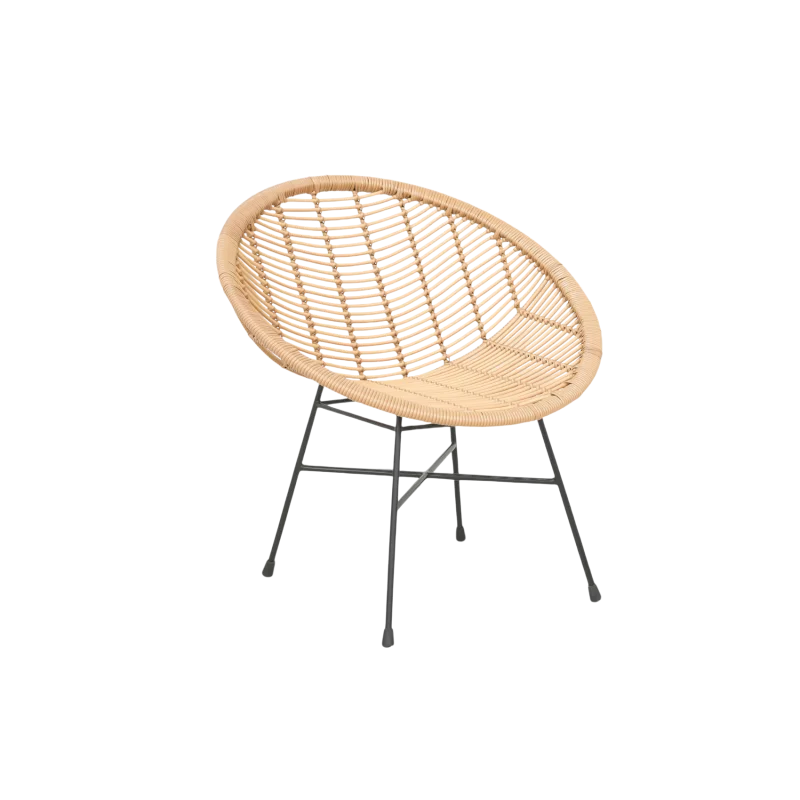 Dining Chair Rattan