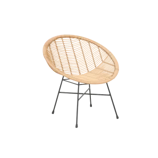 Dining Chair Rattan
