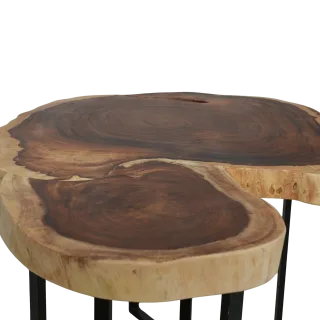 Live Wood Table