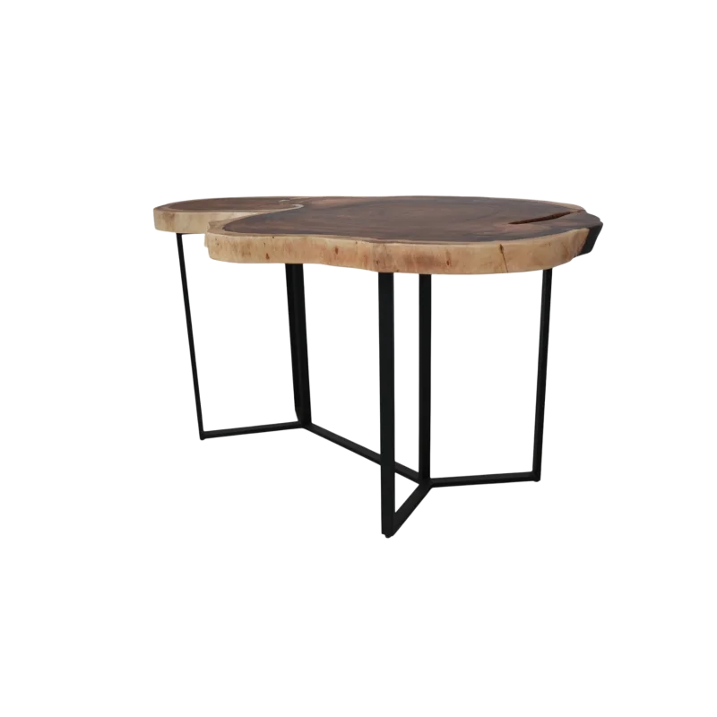 Live Wood Table
